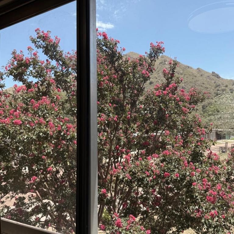 Departamento al pie de las sierra - Apartamento de 2 dormitorios - 10