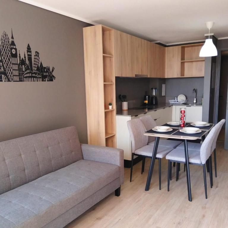 8 Steps from La Moneda - Apartamento de 1 dormitorio - 9