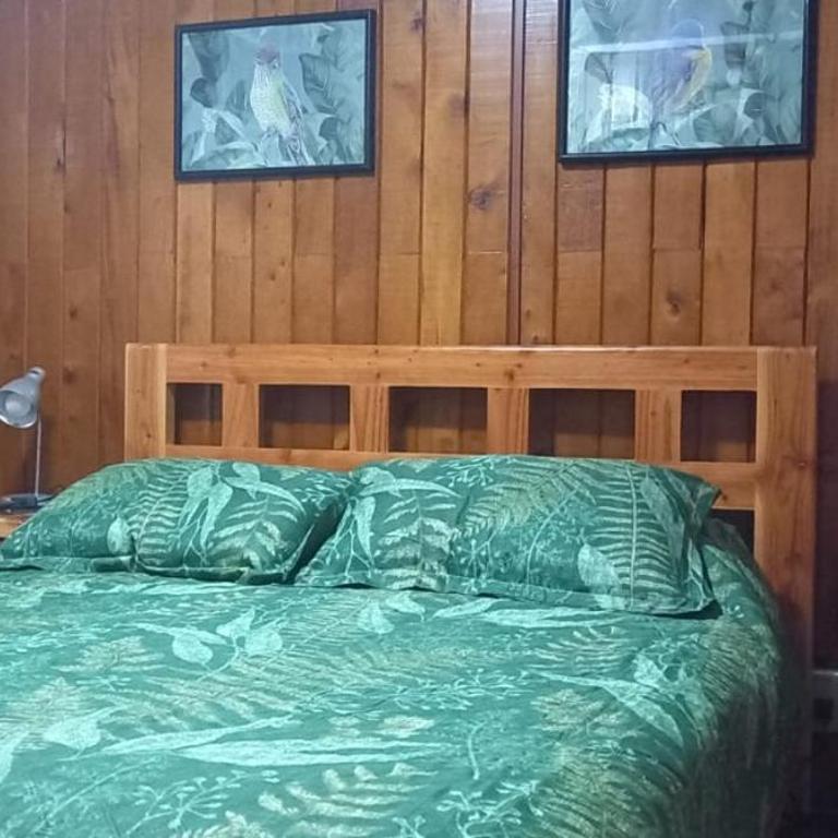 Arriendo por día casa Villarrica chile - One-Bedroom House - 10