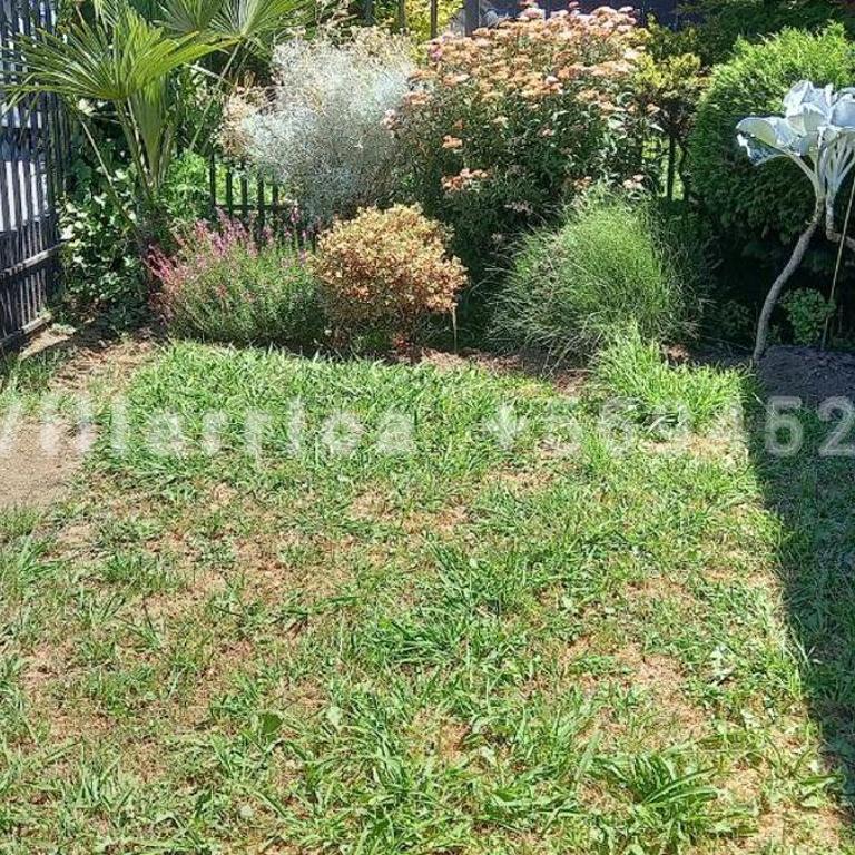 Arriendo por día casa Villarrica chile - One-Bedroom House - 11