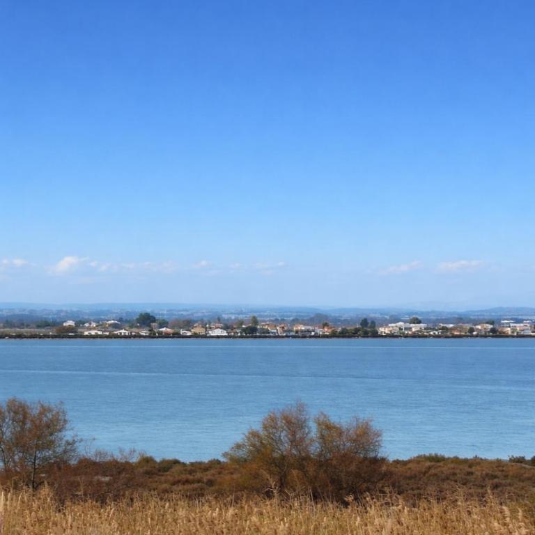 Un coin de paradis en bord de mer - Studio - 23