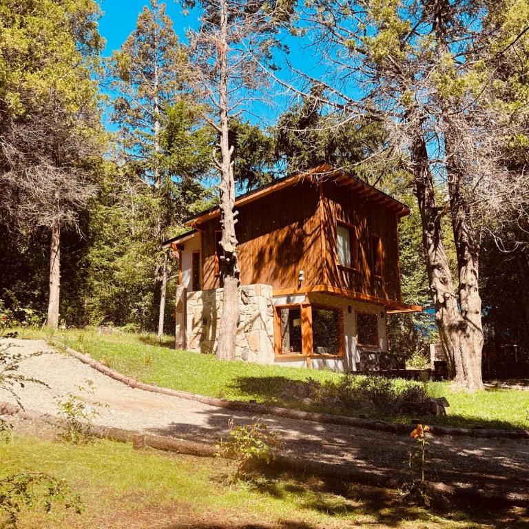 LOS HUEMULES - casa nueva en medio del bosque y a pasos del centro de la ciudad- - Three-Bedroom House - 35