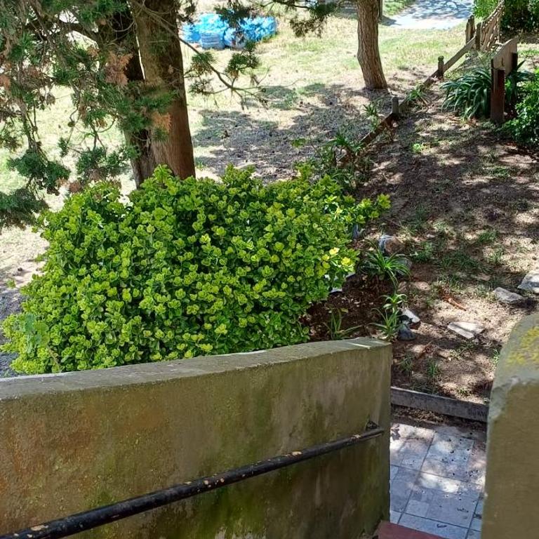 Departamento a 100 metros del mar - One-Bedroom Apartment - 10