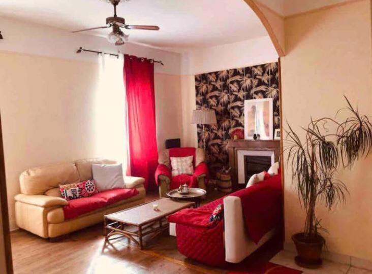 Charming Quiet Big Flat appart Surrounding Gardens - Appartement 1 Chambre - 5