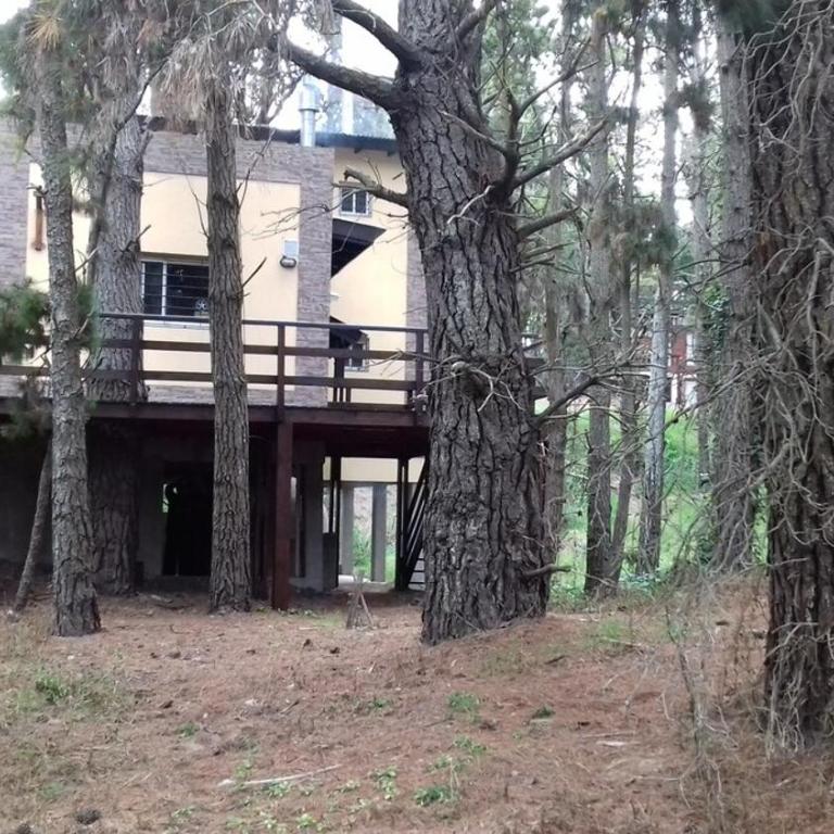 La Flor Azul house sea and forest - Casa de 3 dormitorios - 35