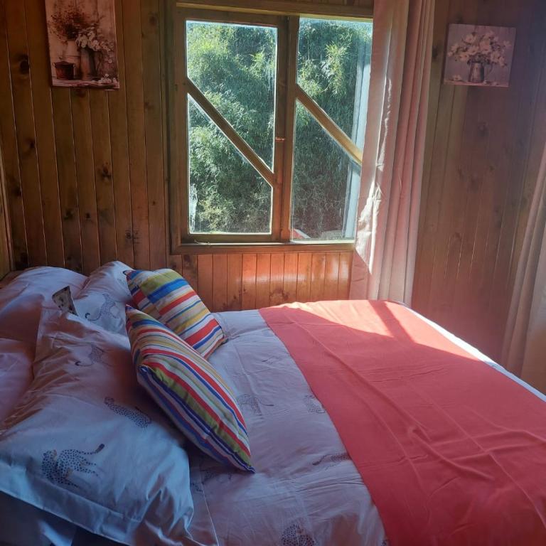Chiloe Profundo - Two-Bedroom House - 6