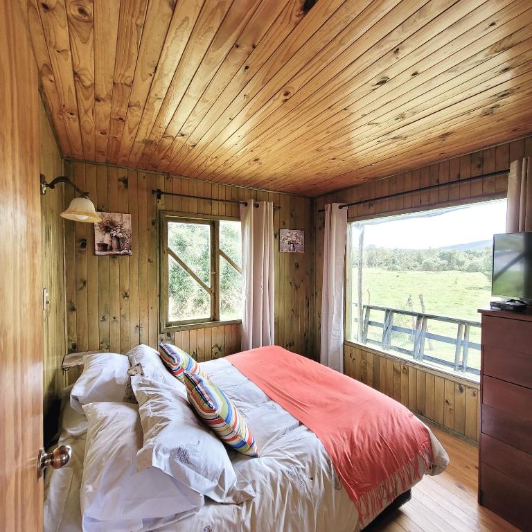 Chiloe Profundo - Two-Bedroom House - 17