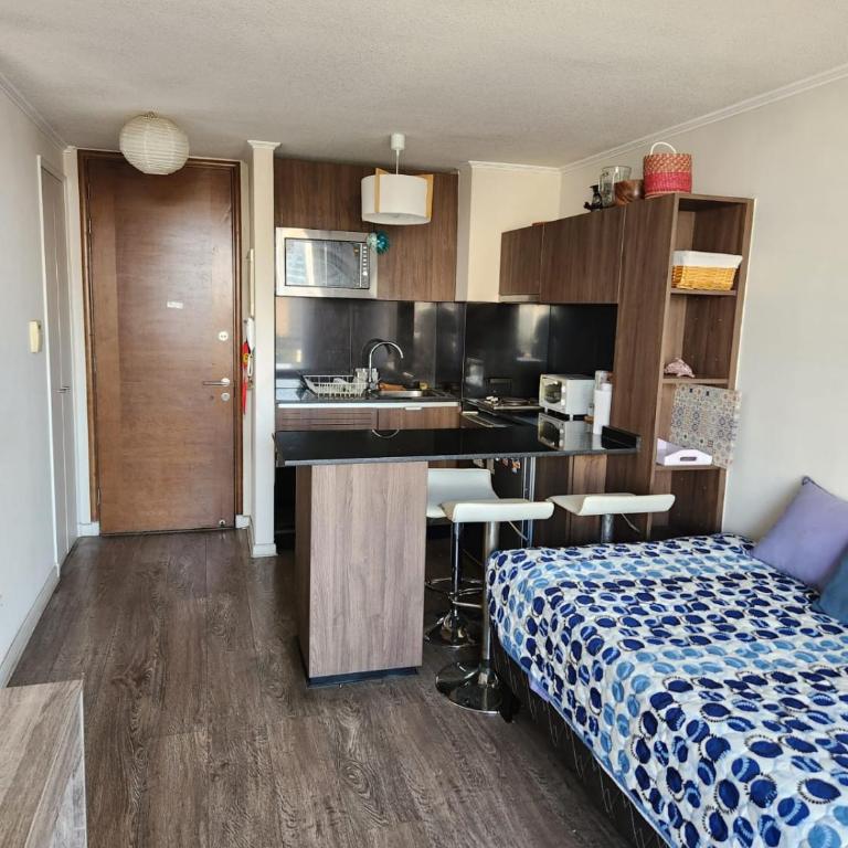 Arriendo por temporada de verano Enero-Febrero - One-Bedroom Apartment - 2