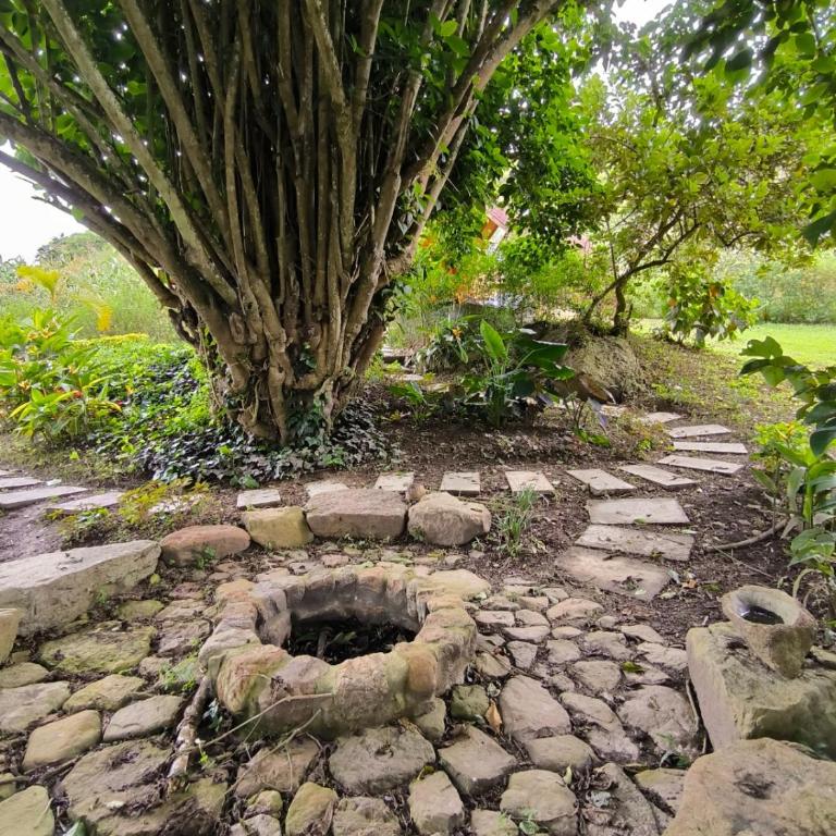 Glamping Corazón del Molino - Casa - 9