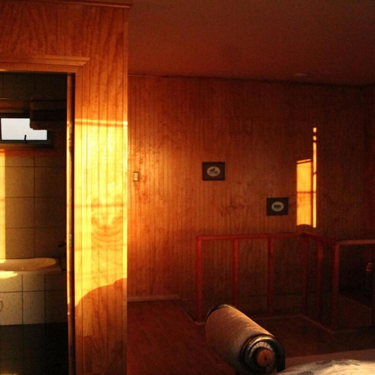 Cabaña Baguales - One-Bedroom Apartment - 12
