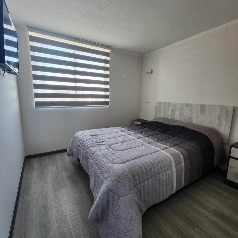 departamento a paso de la playa - Two-Bedroom Apartment - 2