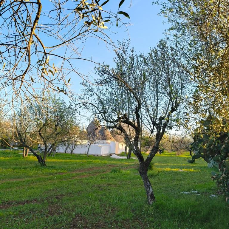 Trullollero UnPostoNelMondo Trullo Romantico con Giardino Privato Relax e Privacy - Casa Vacanze - 37