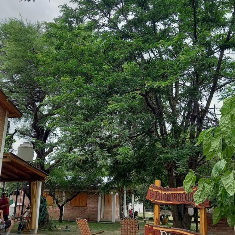 Cabañas Dionisio - Casa de 2 dormitorios - 1