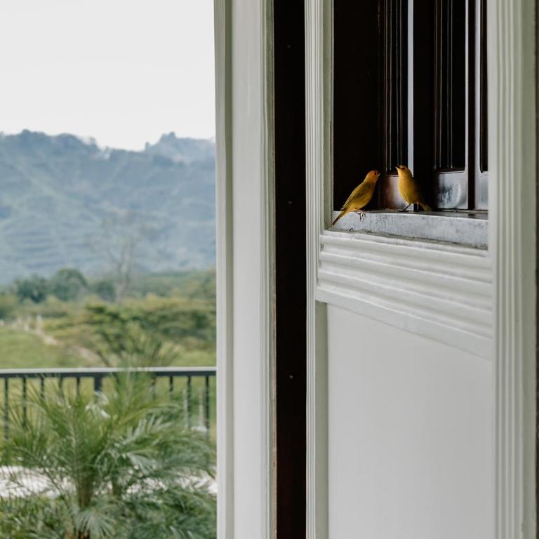 Hotel Catleya Royal Club - Double Room with Garden View - 12