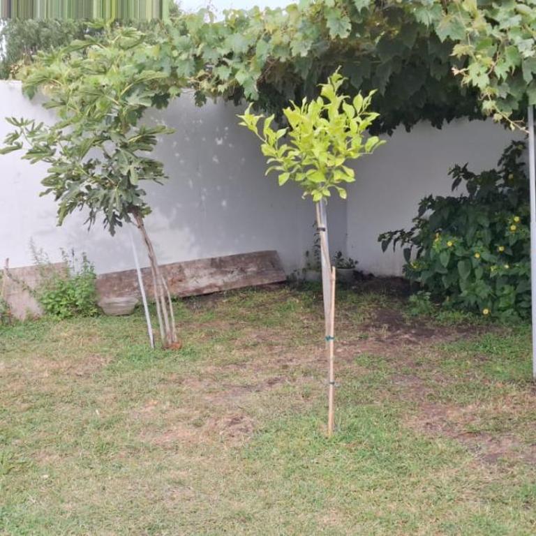 Cartagen - Three-Bedroom House - 18