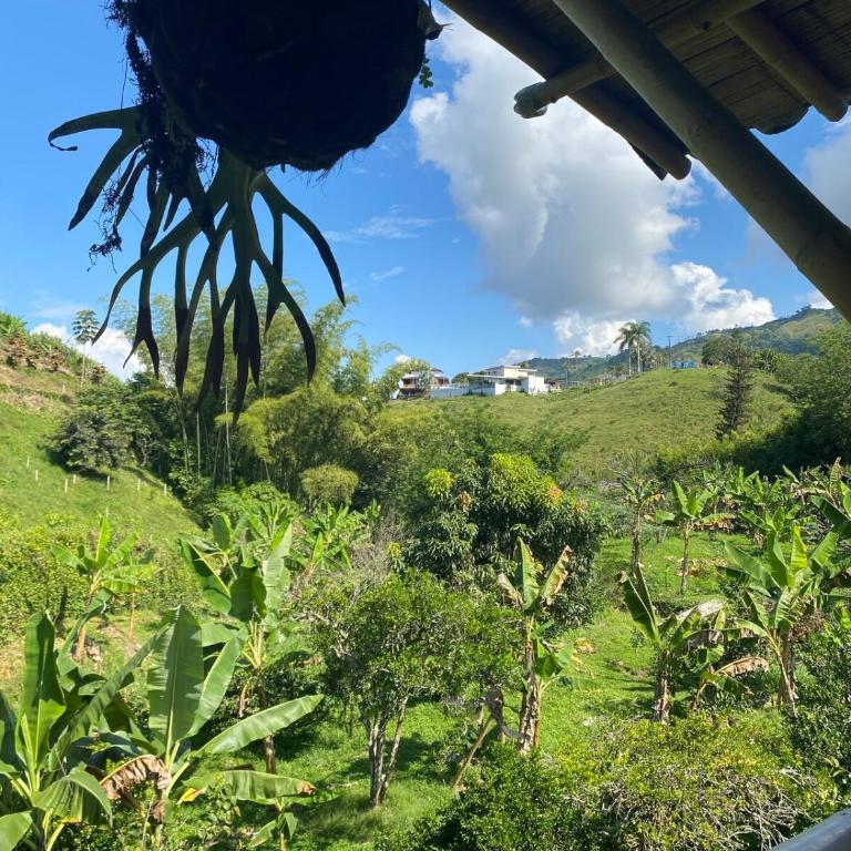 Casa campestre con piscina privada 20 personas - Four-Bedroom House - 23