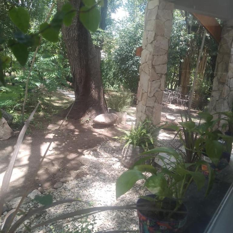 Carpe Diem - One-Bedroom Chalet - 16