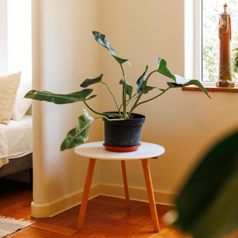 Tranquilo estudio en Lastarria - One-Bedroom Apartment - 10