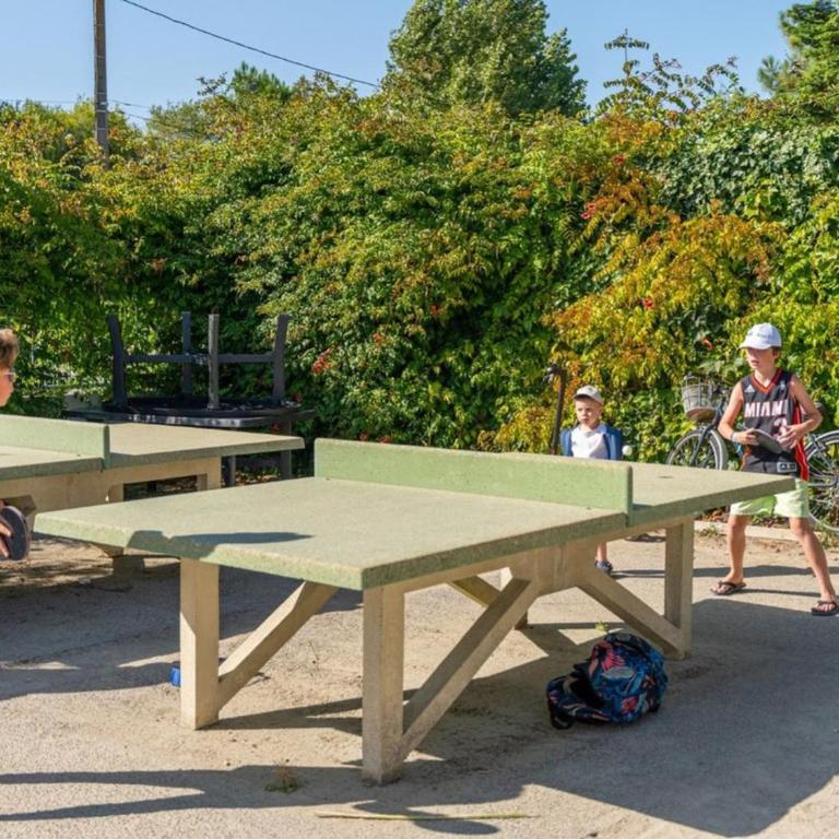 Mobil-home de 40m² pour 8 personnes avec rampe d'accès - API-1-52-1083 - Casa Mobile - 30
