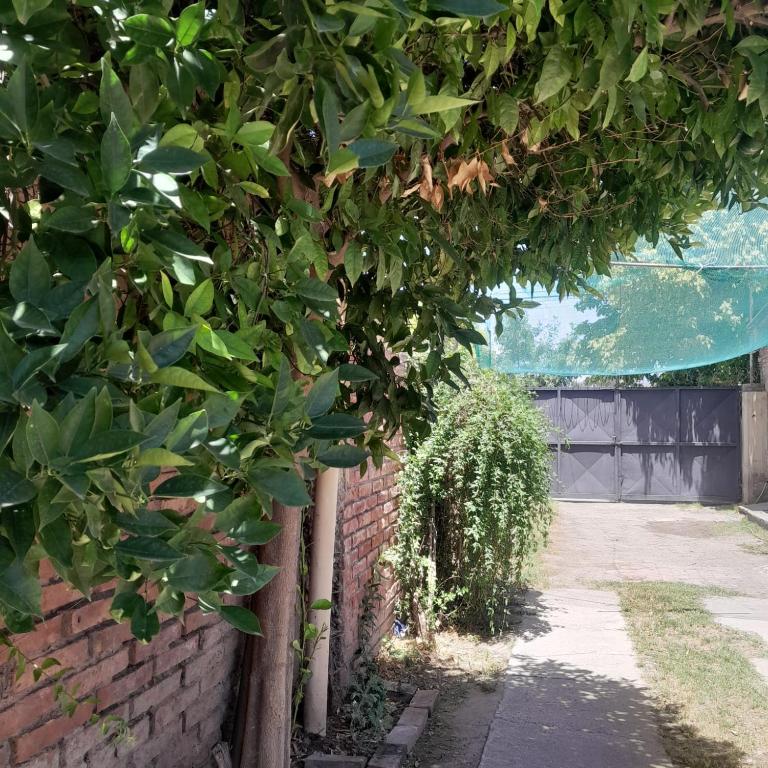 Esmeralda - Apartamento de 2 dormitorios - 9