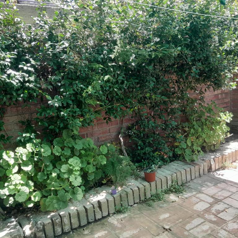 Esmeralda - Apartamento de 2 dormitorios - 10
