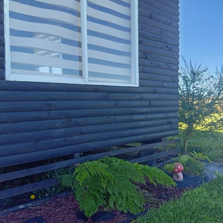 Cabaña en Frutillar - Vacation Home - 29