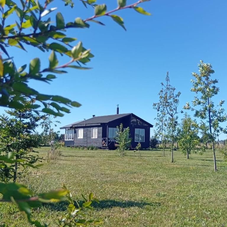 Cabaña en Frutillar - Vacation Home - 20