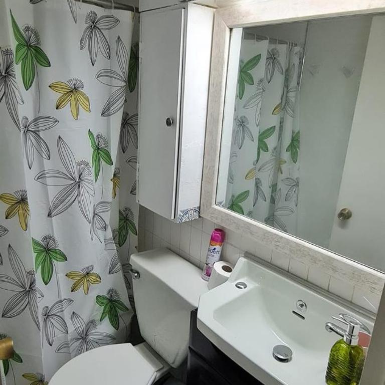 Arriendo Departamento 3D y 2B Plan de Viña del Mar - Three-Bedroom Apartment - 8