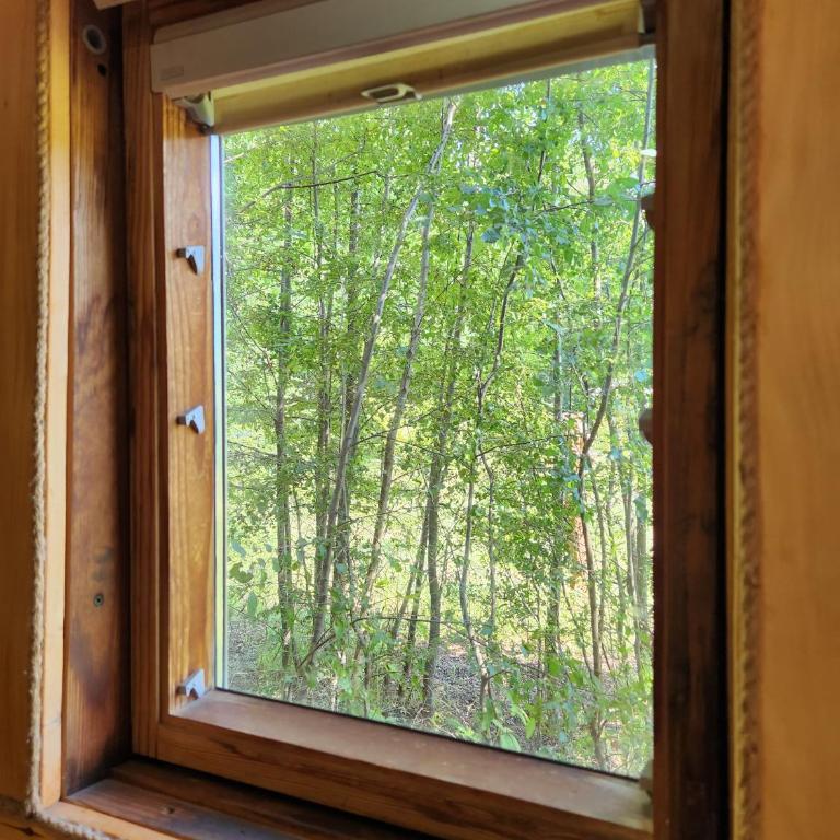 Brisas del llaima - One-Bedroom Chalet - 37
