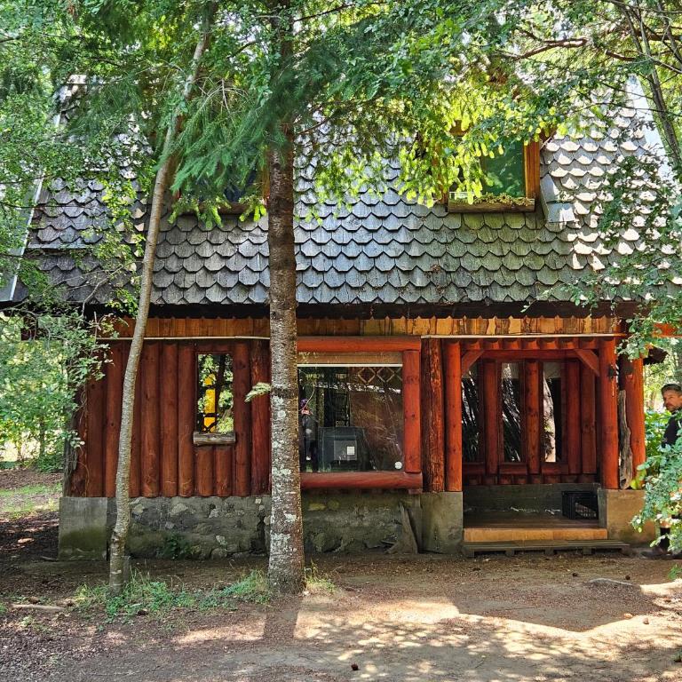 Brisas del llaima - Chalet - 3