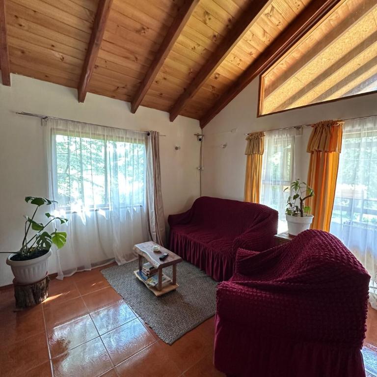 Casa Pichares Pucon - Two-Bedroom House - 12