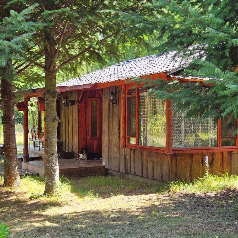 Brisas del llaima - Two-Bedroom Chalet - 1
