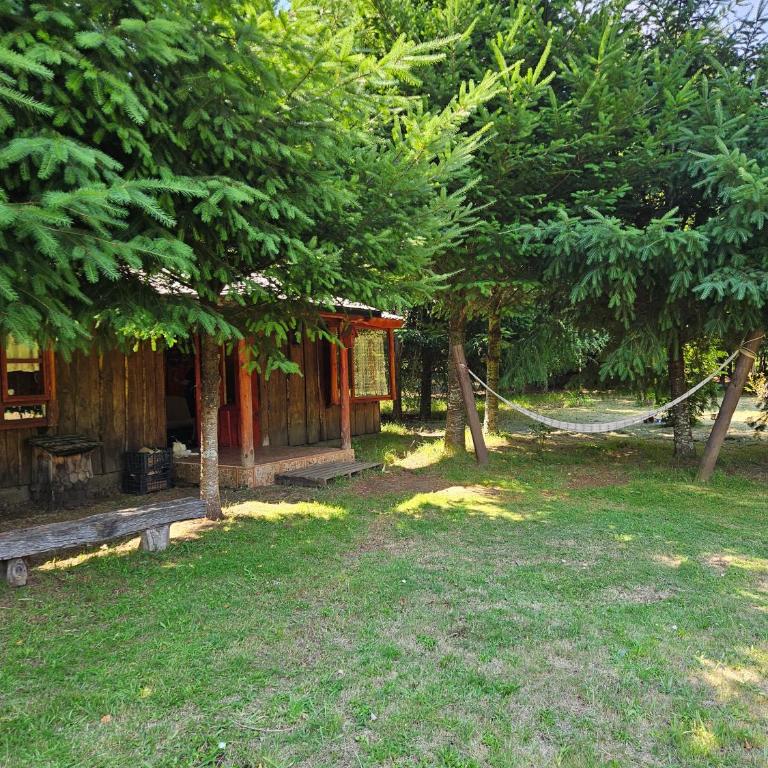 Brisas del llaima - Two-Bedroom Chalet - 5