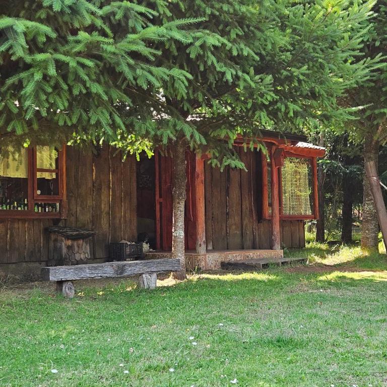 Brisas del llaima - Two-Bedroom Chalet - 15
