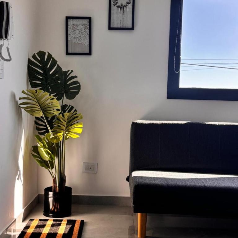 Playa Dorada - One-Bedroom Apartment - 12