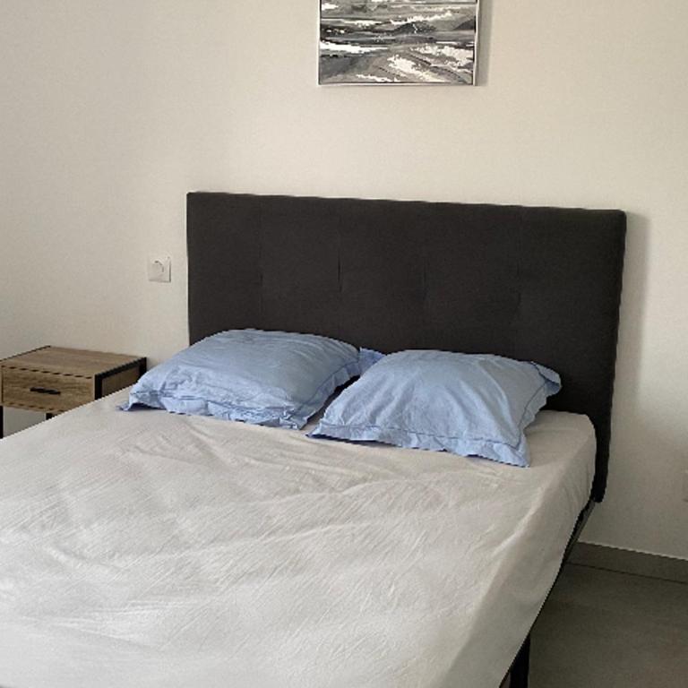 Appartement climatisé proche plage avec parking - FR-1-837-43 - Appartamento - 13