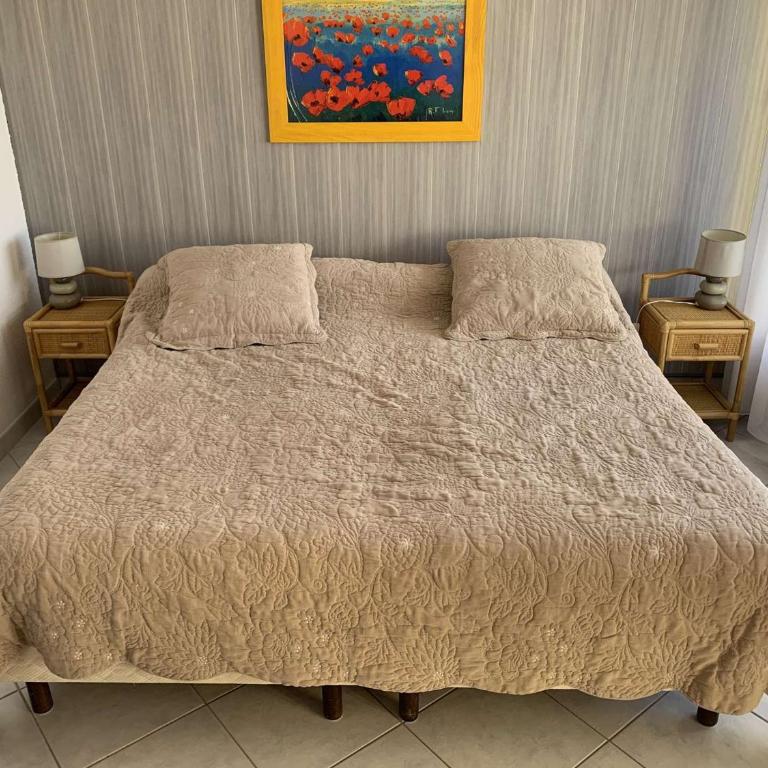 Appartement 3 pièces 6 pers avec terrasse à Port Camargue - FR-1-731-151 - Appartamento - 12