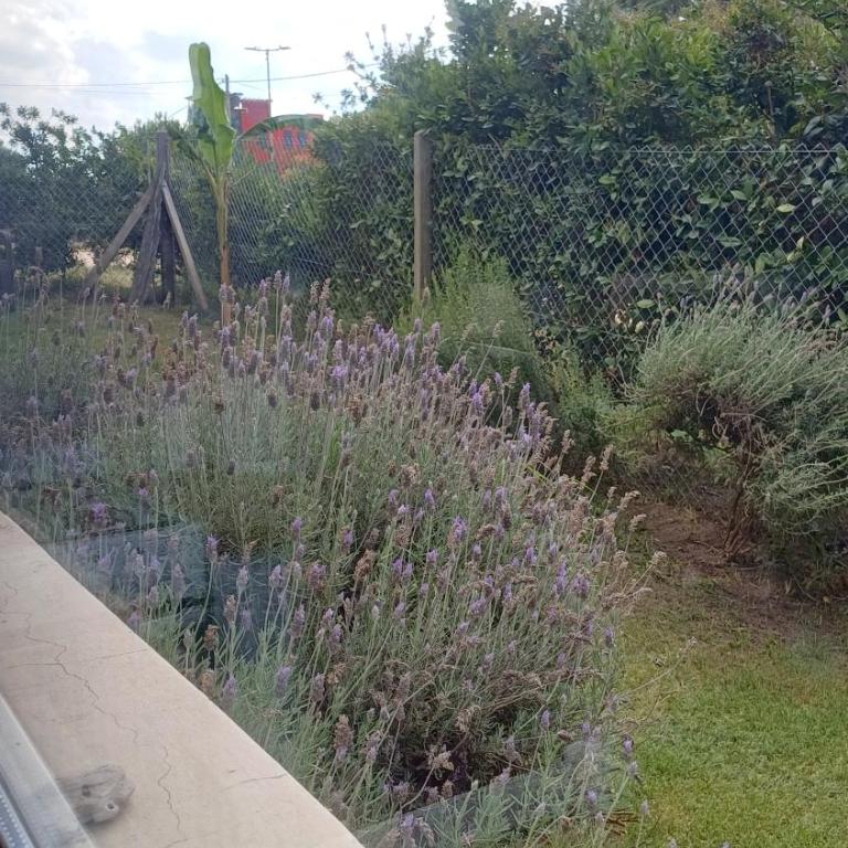 OstendeZen - Apartamento de 1 dormitorio - 10