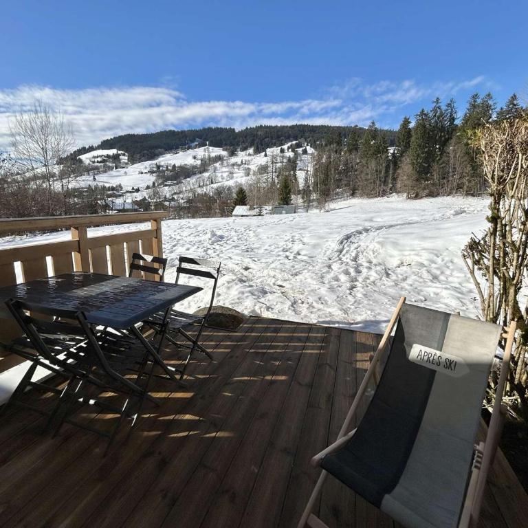 Appartement cosy 2 pièces, terrasse, casier à skis, parking commun - Appartement 1 Chambre - 12