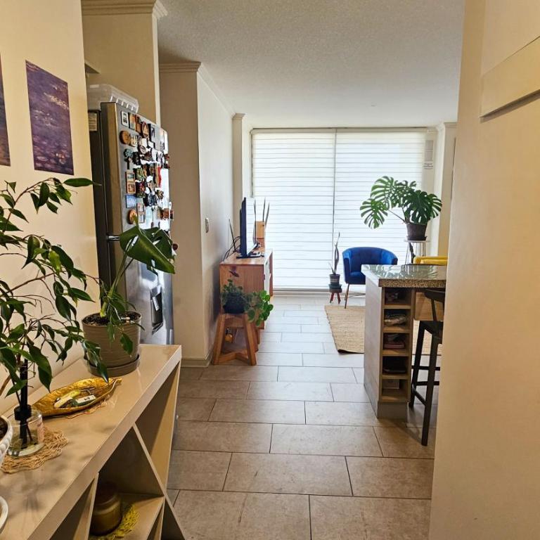 Monet apartment - One-Bedroom Apartment - 1