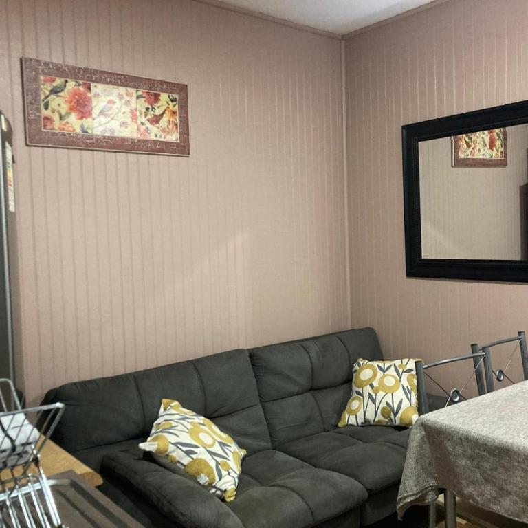 Excelente ubicación Depto con estacionamiento pet friendly - One-Bedroom Apartment - 12