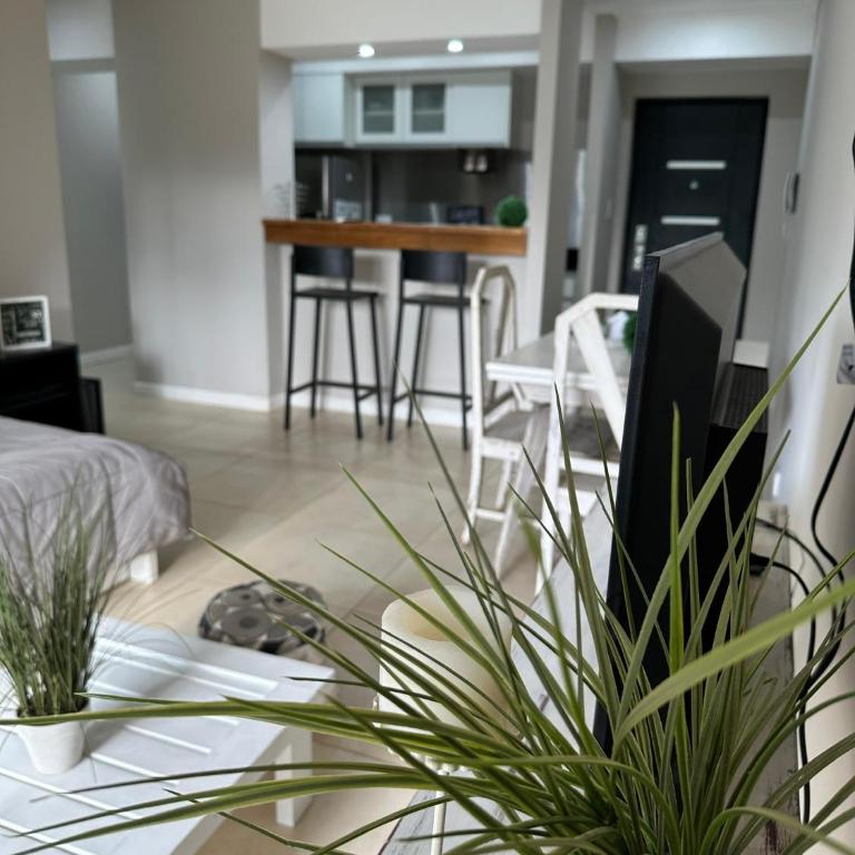 Concordia Suites Temporales - Apartamento de 1 dormitorio - 13