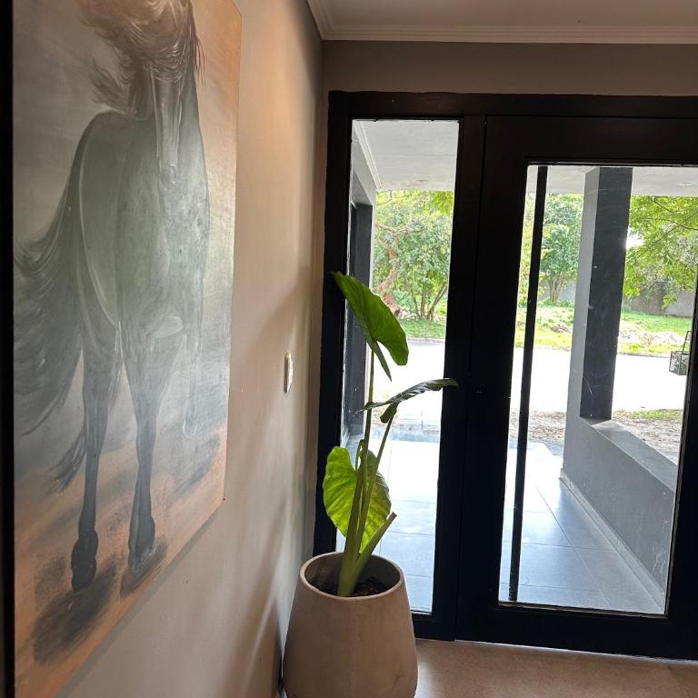 Concordia Suites Temporales - Apartamento de 1 dormitorio - 10