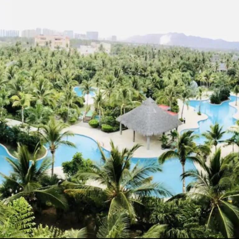 TT-5-Acapulco Mexico getaway Ocean front Tiagotian - Apartamento - 44