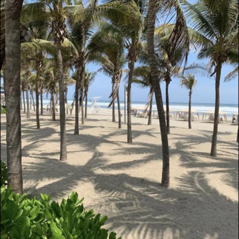 TT-5-Acapulco Mexico getaway Ocean front Tiagotian - Apartamento - 53