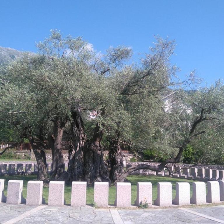 Nataliia Twister Apartment - Apartman sa Pogledom na Planinu - 34