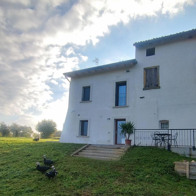 Agriturismo il meleto - Casa Vacanze - 22