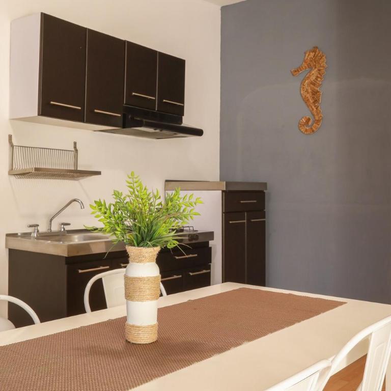 Loft Tiburón - Apartamento de 1 dormitorio - 5