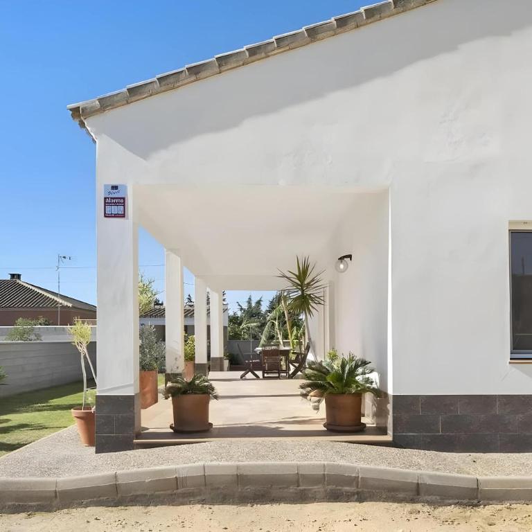 Villa con piscina privada Barbacoa en Conil - Casa - 28