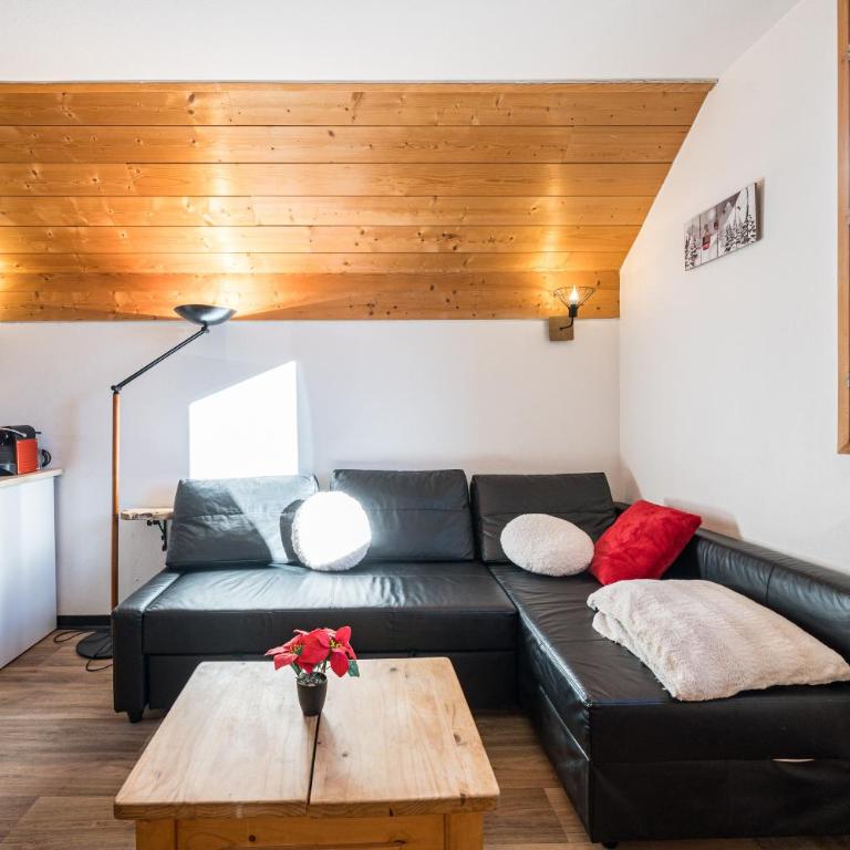 La Marmotte des Sybelles - Pistes à 50 m - Appartement 2 Chambres - 9